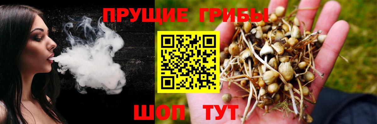 Галлюциногенные грибы Psilocybe  Вход с VPN  Нефтекамск 